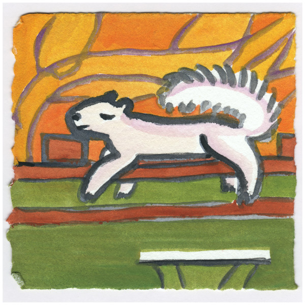 A Squirrel Napping on my Arbor. #198