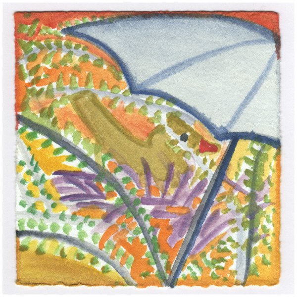 The Cardinal Camouflaged in the Rain. #207