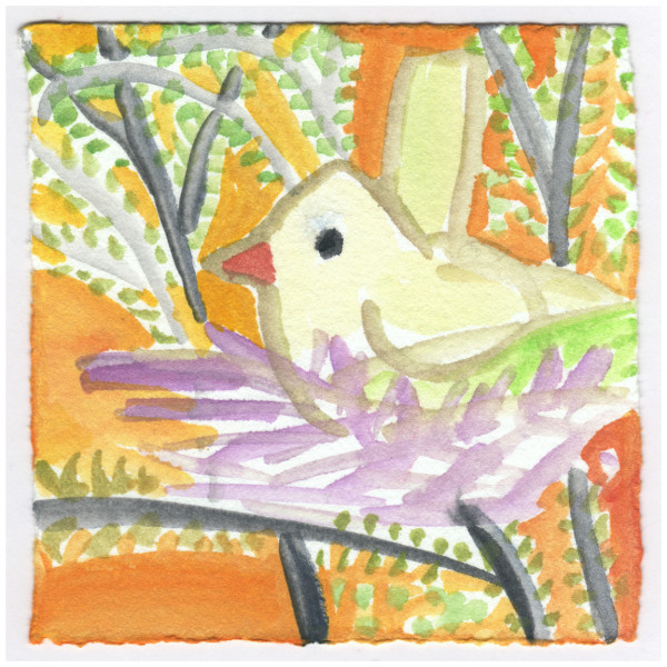 The Cardinal This Morning. #208