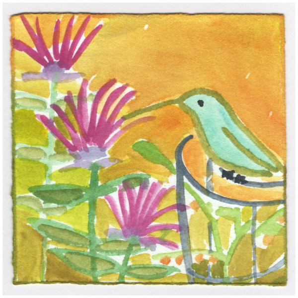 The Hummingbird and the Bergamot. #210