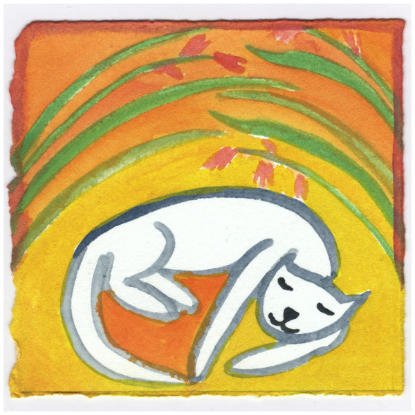 Cat Sleeping in the Crocosmia. #216