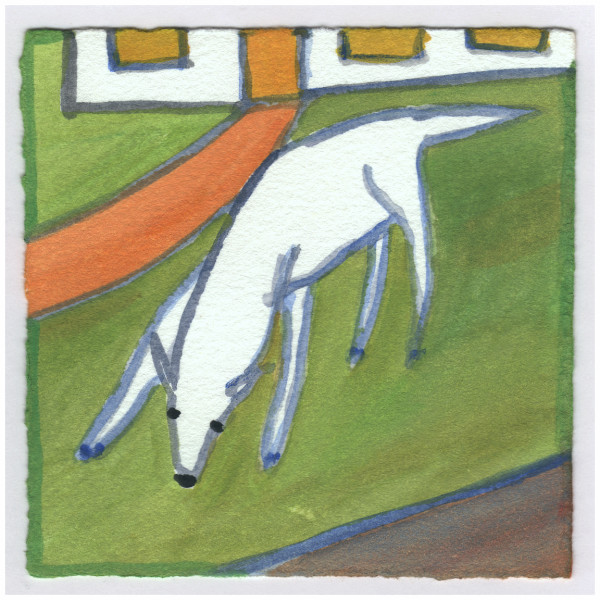 A Deer Near By. #219