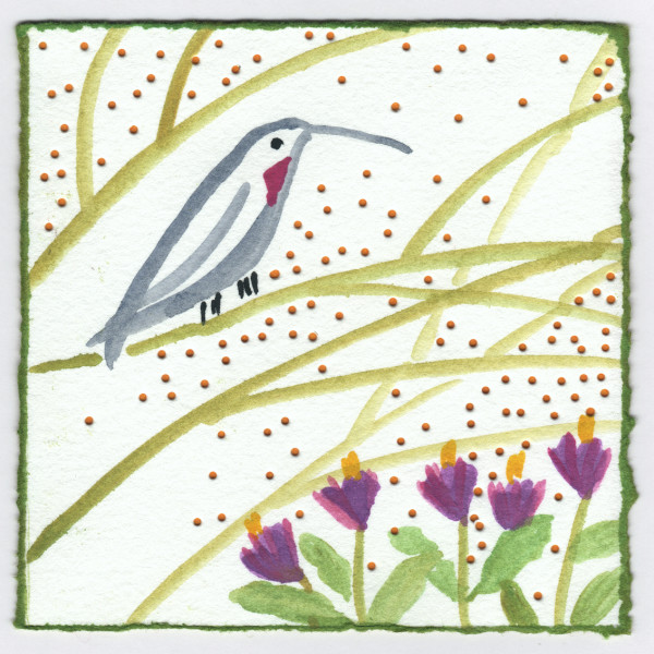 The Rose of Sharon. #224