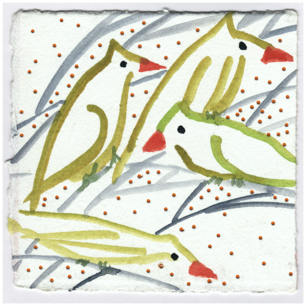 Baby Cardinals Out Front. #225