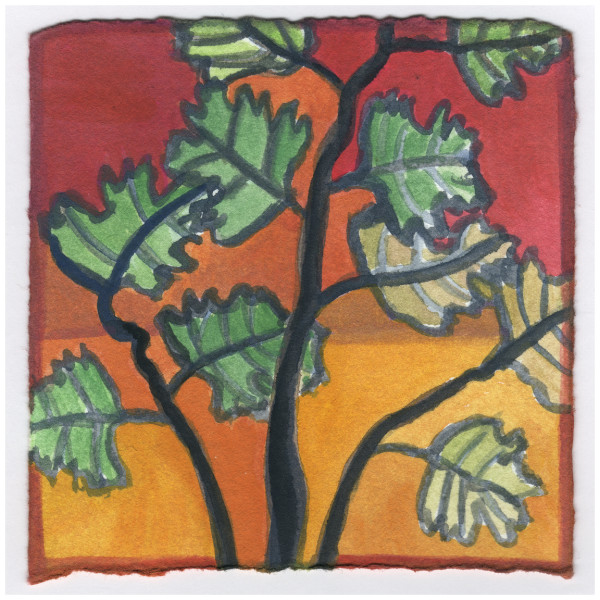The Young Fig Tree. It Came Back After the Winter That Was So Rough on It. #245 by Raya Bodnarchuk, Estate, Image 1.