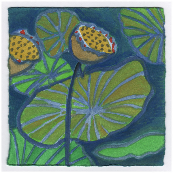 Lotus Pond. South 1A Rhode Island. #301 by Raya Bodnarchuk, Image 1.