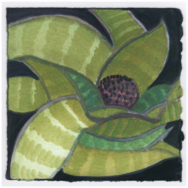 A Black Walnut in the Bromeliad. #323 by Raya Bodnarchuk, Estate, Image 1.