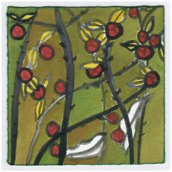 Bitter Sweet in Sykesville. #333