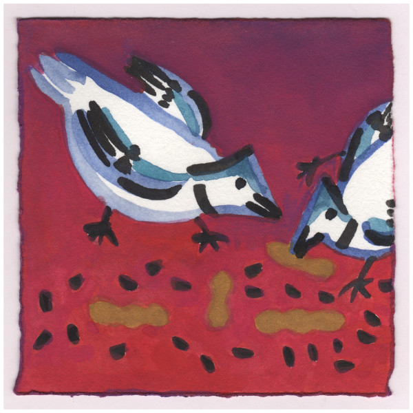 Blue Jays Getting the Peanuts. 11/15/14. #340