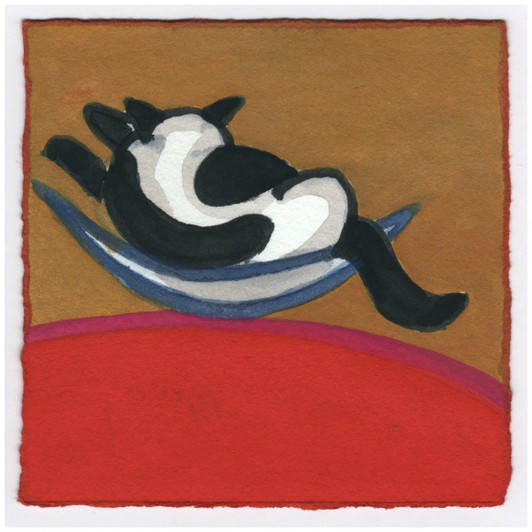 Blaze Sleeping in a Glass Bowl. 11/24/14. #349