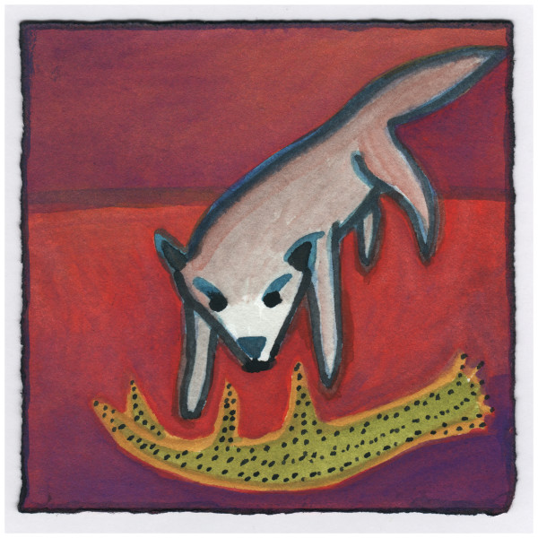 Hunting. 11/25/14. #350