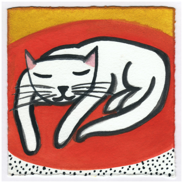 The Cat. 12/2/14. #357