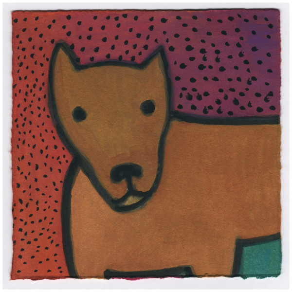 This Cane Corso. 12/5/14. #360