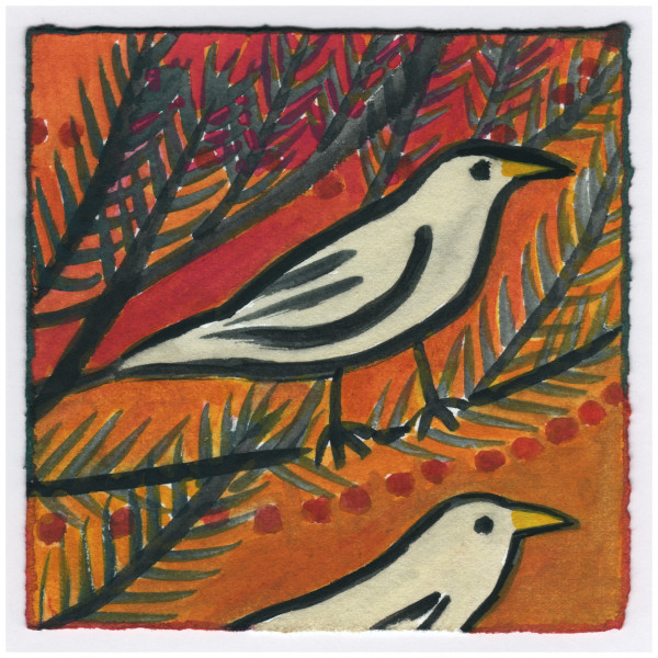 In The Tree. 12/19/14. #376