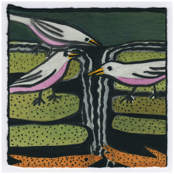 Robins at the Waterfall in December. 12/22/14. #378