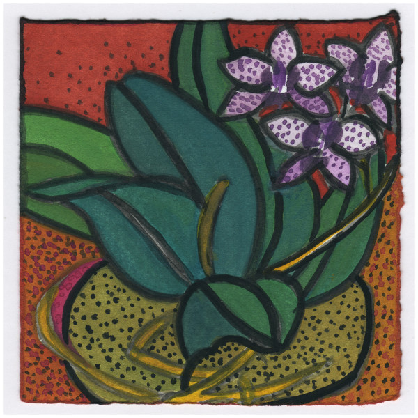 The Orchid is Blooming Again. 12/28/14. #385