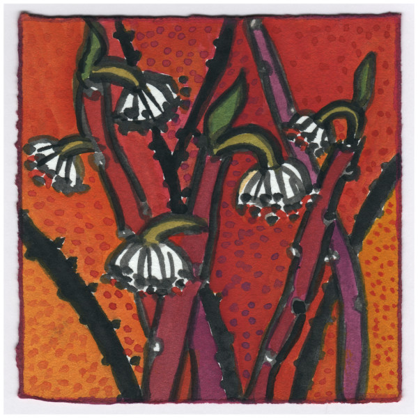 Edgeworthia Papyrifera. Paperbush in my Neighbor's Garden. 12/29/14. #386