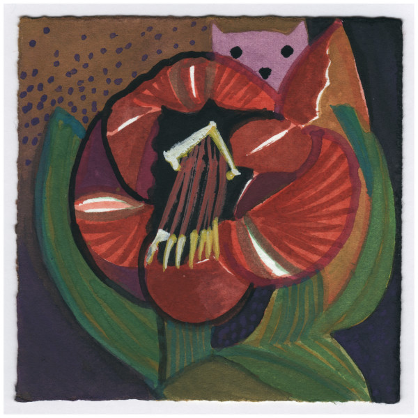 Opening From the Front. 1/14/15. #402