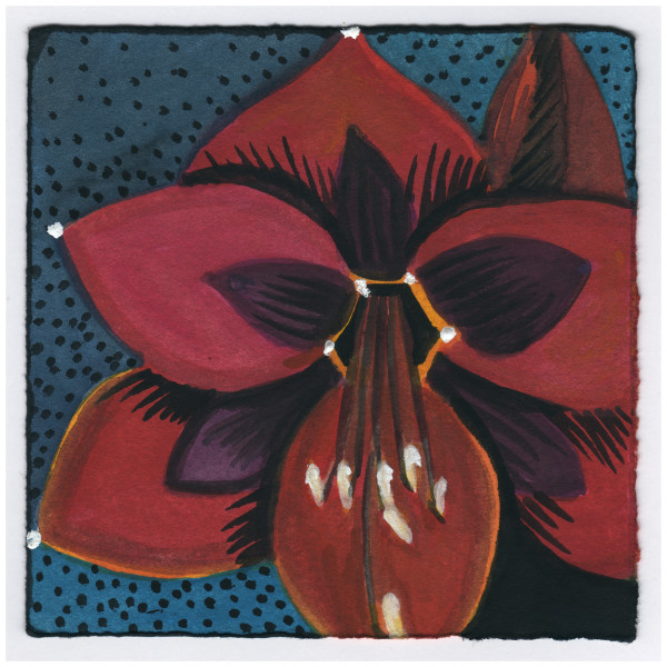 Open. Over Night. 1/15/15. #403