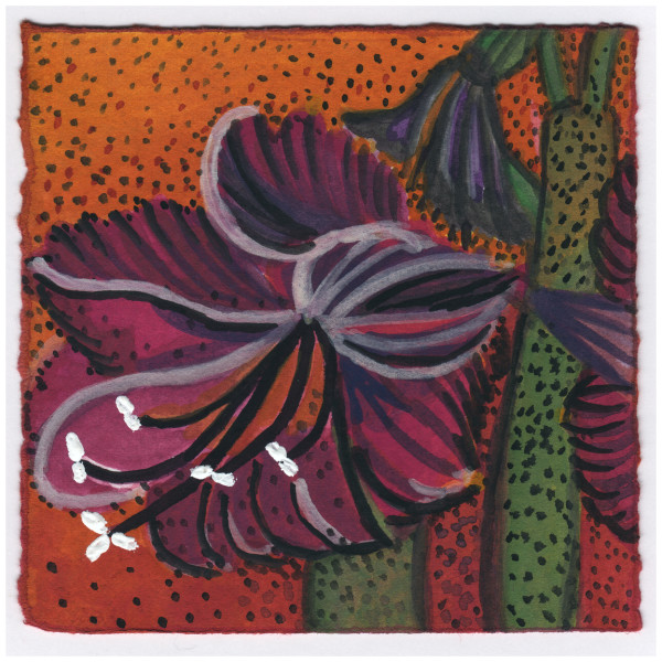 More on the Same Plant. 2/1/15. #420