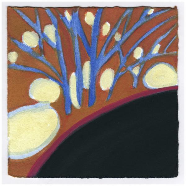 Snow in the Forsythia. #456