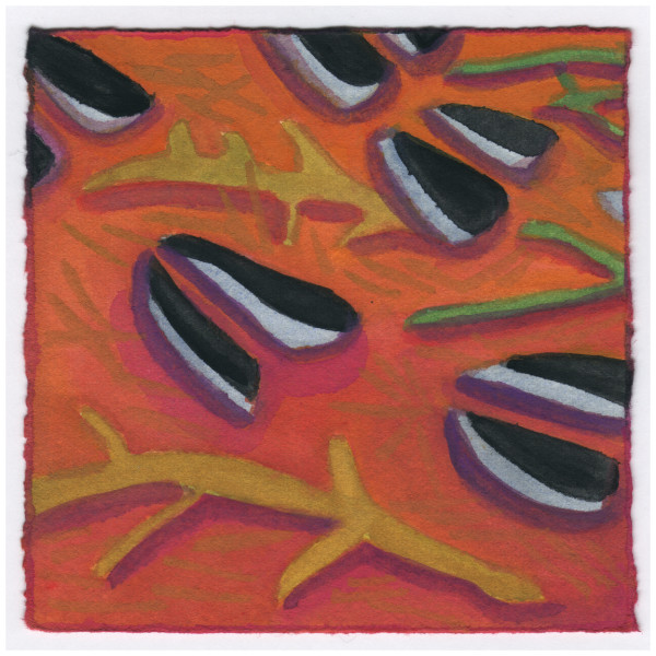 Tracks in the Thawed Earth. #463