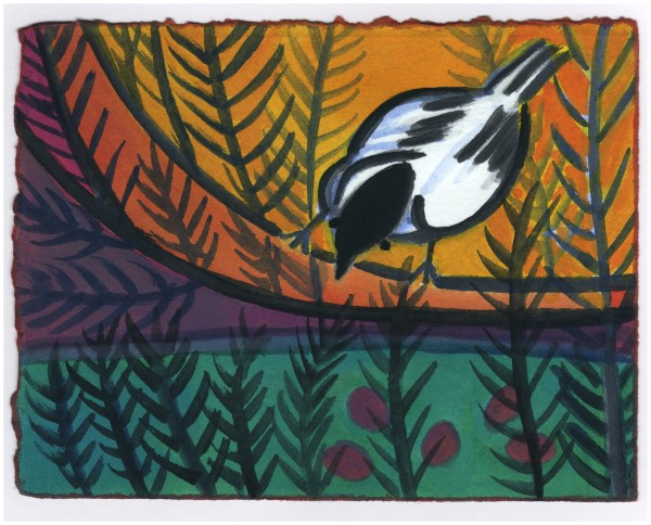 A Chickadee Looking at the Fruit #469