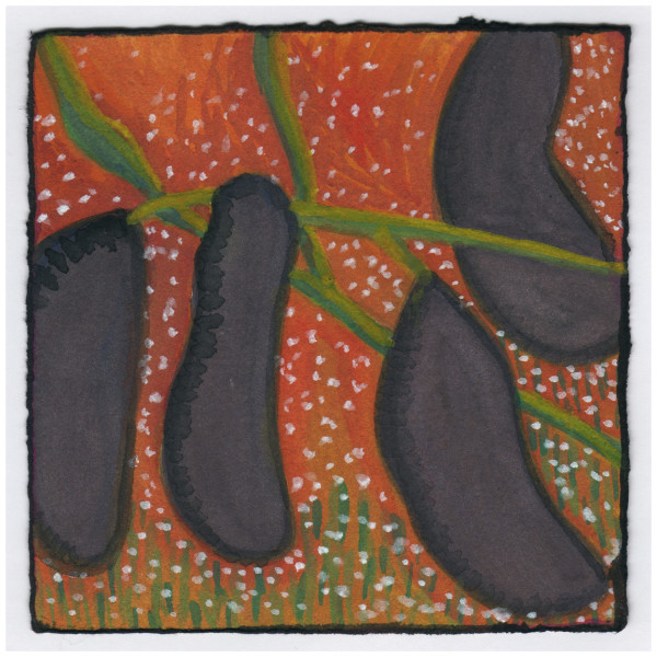 Seed Pods Over Wild Flowers. #479