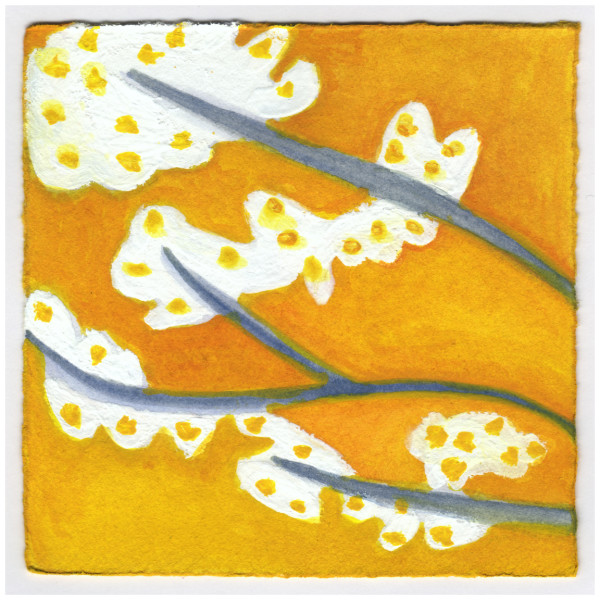 More Blossoms in the Sunset. #492