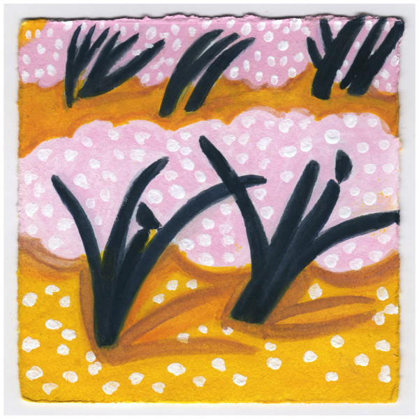 The Cherry Trees Around the Tidal Basin This Evening. #494