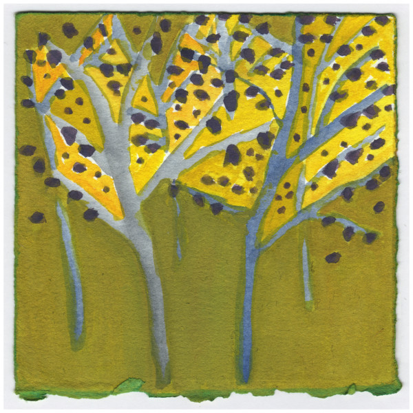 The Pawpaws Are Blooming. #507