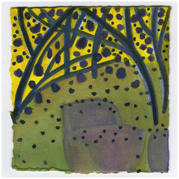 The View by the Foot Bridge. Huge Amount of Pawpaw Blossoms and no Leaves yet. They Are Almost Blooming. #508