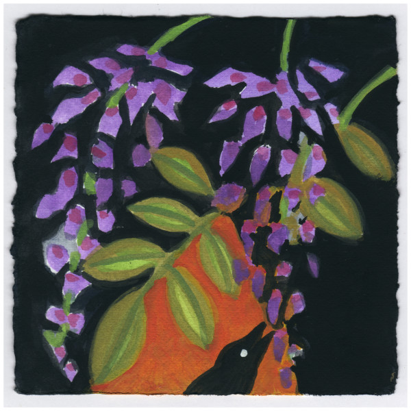 Out Back at Night. #512