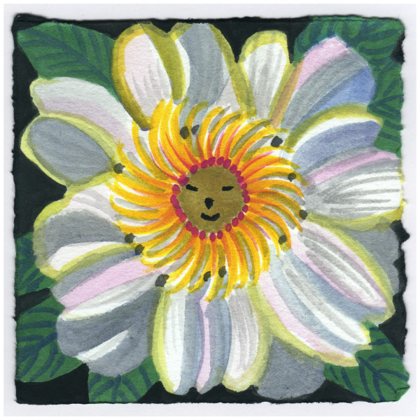 A Big Peony Down the Street. #514