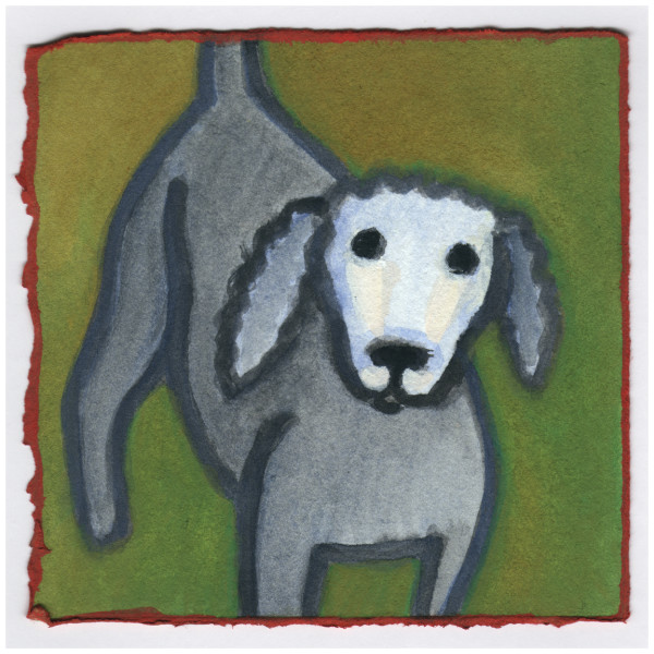 Amy's Poodle. #529 by Raya Bodnarchuk, Estate, Image 1.
