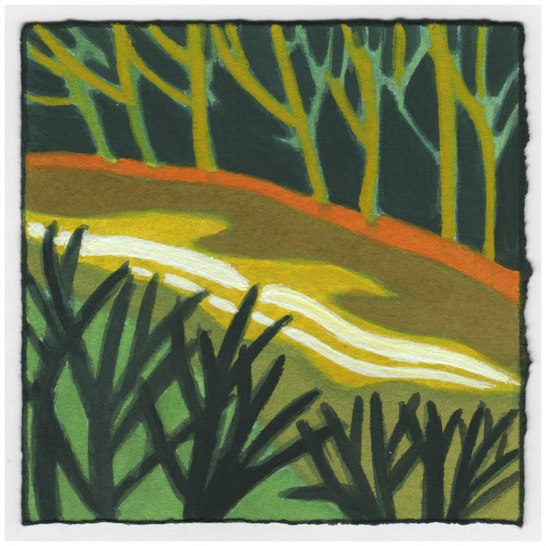 Evening Sun on the Canal. #628