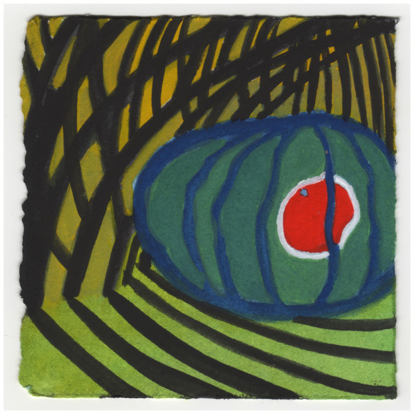 The Watermelon Under the Spirea. #669