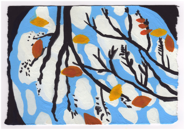 Reflections of Clouds and Branches. #694