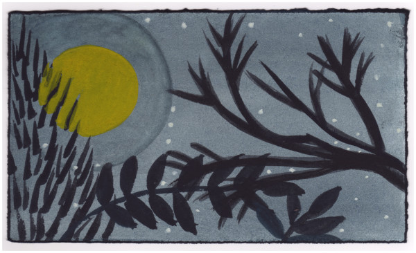 The Sky Tonight. #696