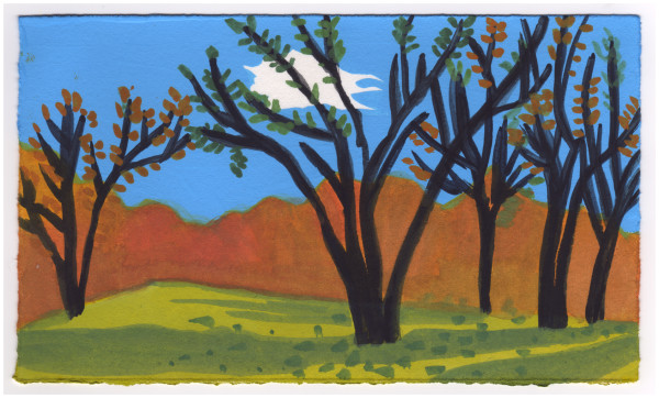 A Cloud Over the Miniature Golf Course. #700