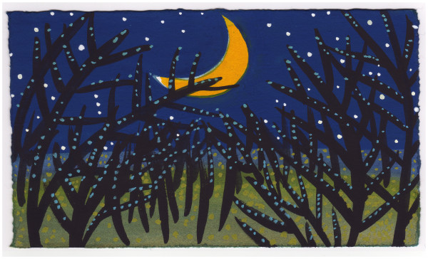 A Little Frost at Night. #710