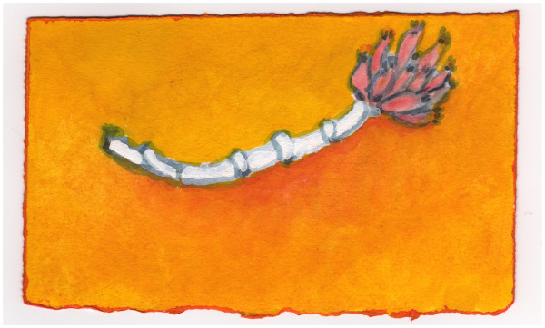 An Early Bud. #822 by Raya Bodnarchuk, Estate, Image 1.