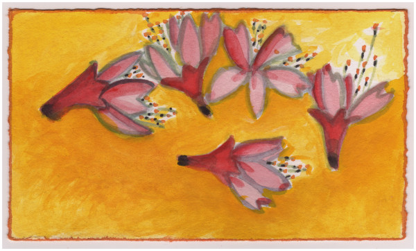 Some Early Cherry Blossoms. #823 by Raya Bodnarchuk, Estate, Image 1.
