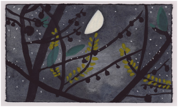 The Paw Paws Blooming in the Moonlight. #864 by Raya Bodnarchuk, Image 1.