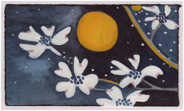 Dogwood Blossoms at Night. #869 by Raya Bodnarchuk, Image 1.