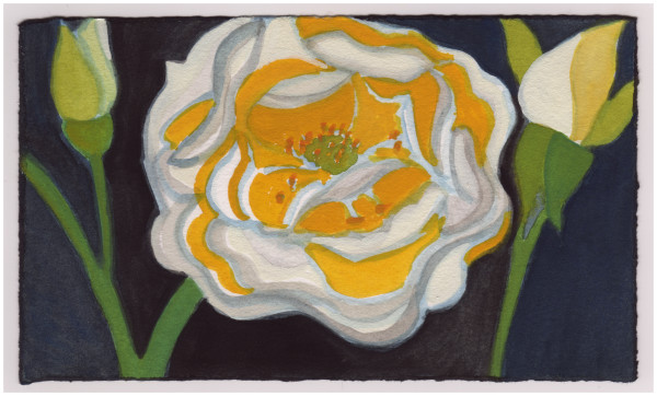A Rose. #894 by Raya Bodnarchuk, Estate, Image 1.