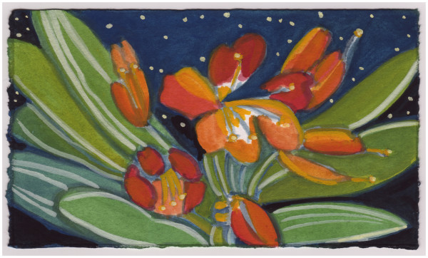 The Clivia Blooming at Night. #924 by Raya Bodnarchuk, Estate, Image 1.