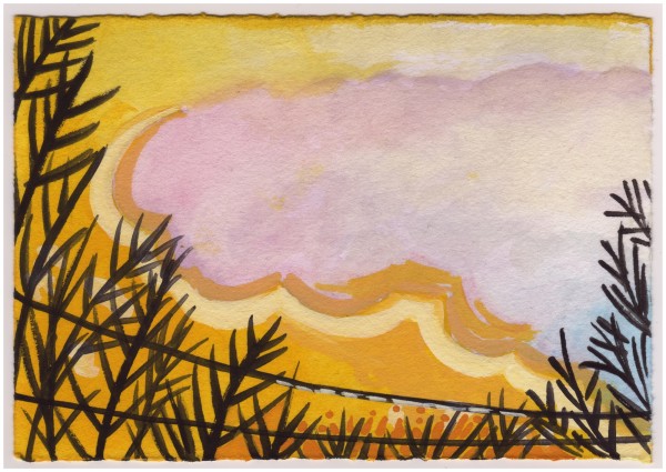 After the Storm. #934