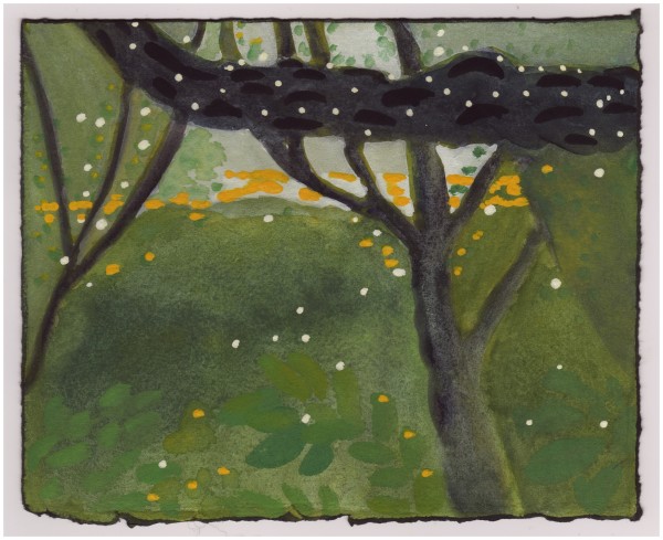 A Huge Limb of ancient Tree By the Potomac. #937