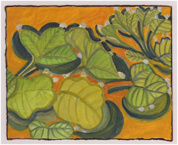 Special Squash With Hay. #948